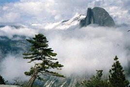 Yosemite Half Dome